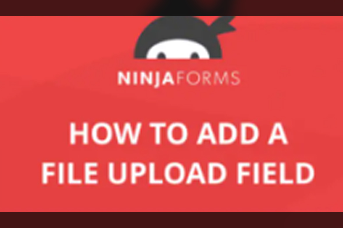 Ninja Forms File Uploads v3.3.23