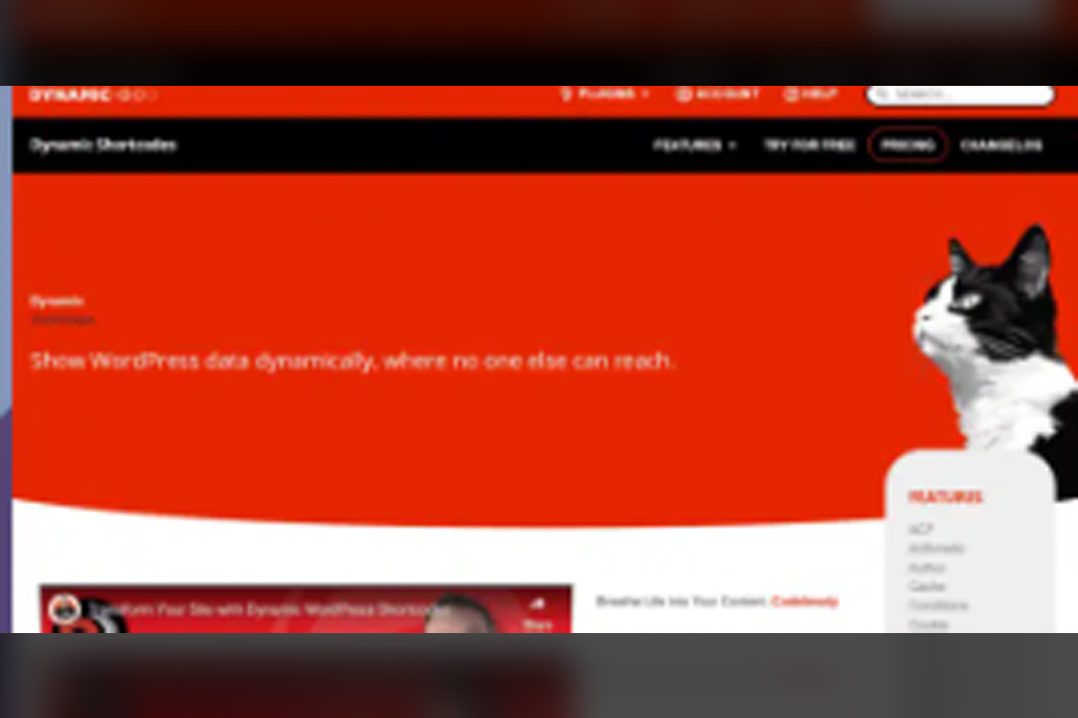 Dynamic.ooo – Dynamic Shortcodes v1.5.15
