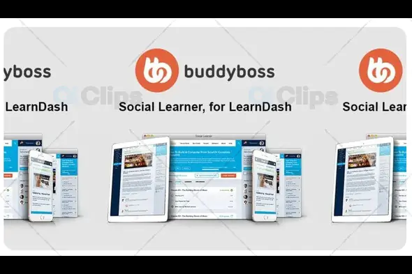 Boss for LearnDash & Social Learner for LearnDash