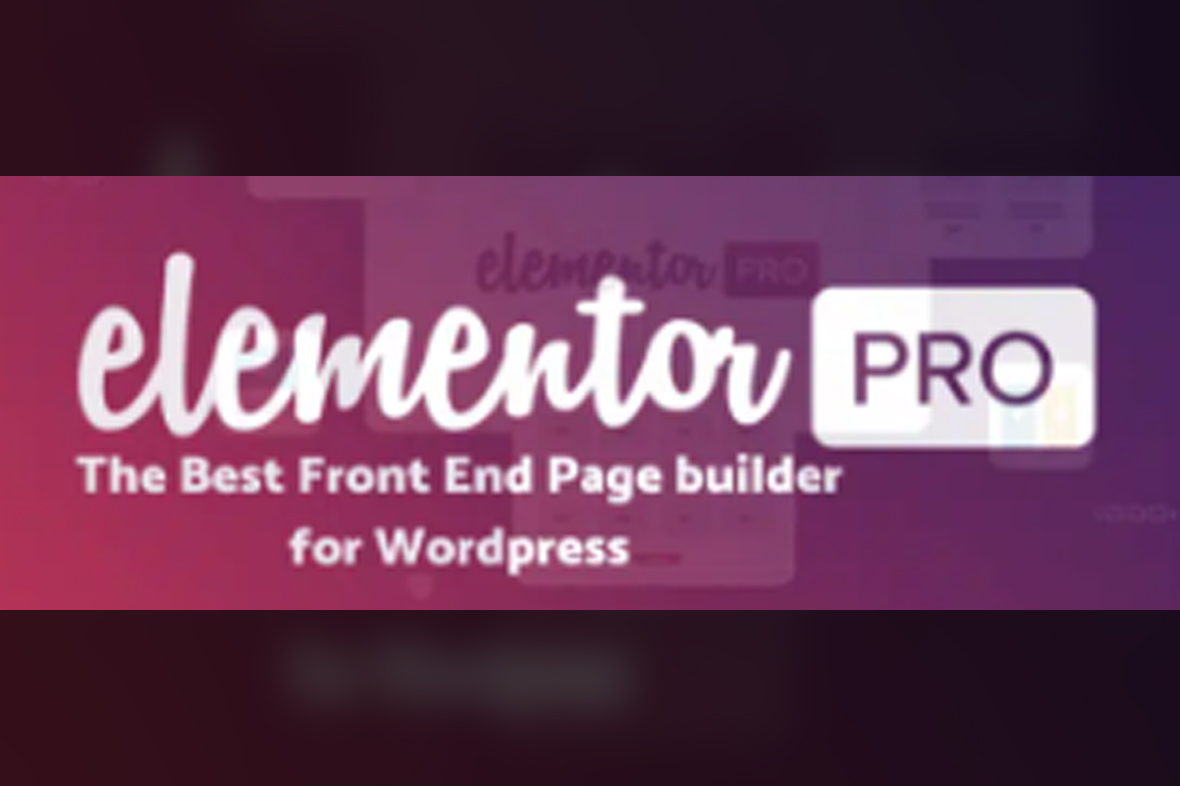 Elementor Page Builder Pro v3.31.2