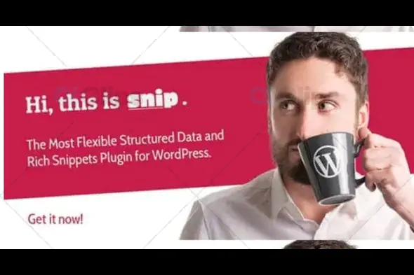 SNIP: Structured Data Plugin for WordPress