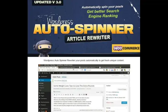 WordPress Auto Spinner