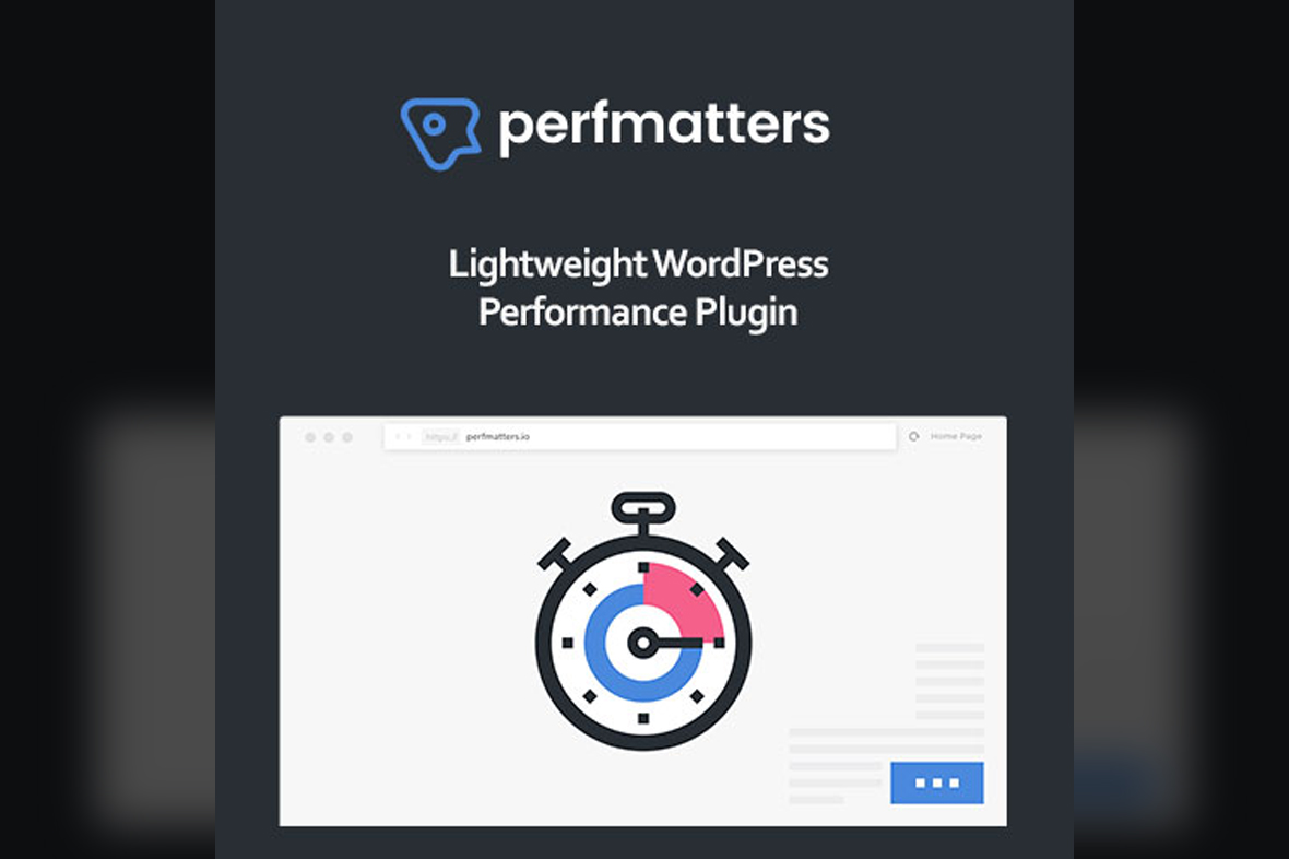 Perfmatters WordPress Plugin v2.4.4