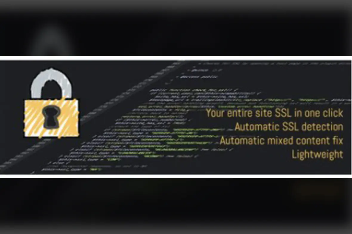 Really Simple SSL Pro v9.3.1