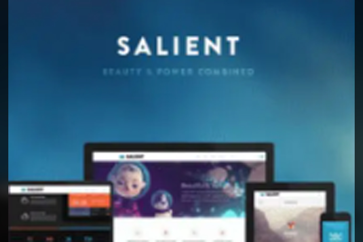Salient – Responsive Multi-Purpose Theme v17.3.1