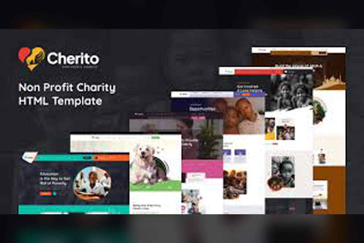 Cherito – Non Profit Charity WordPress Theme v1.0.0