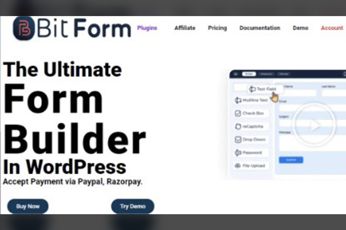 Bit Form Pro v2.12.0