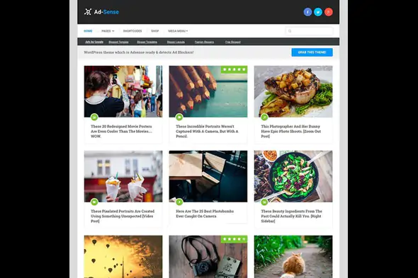 MyThemeShop Ad-Sense WordPress Theme