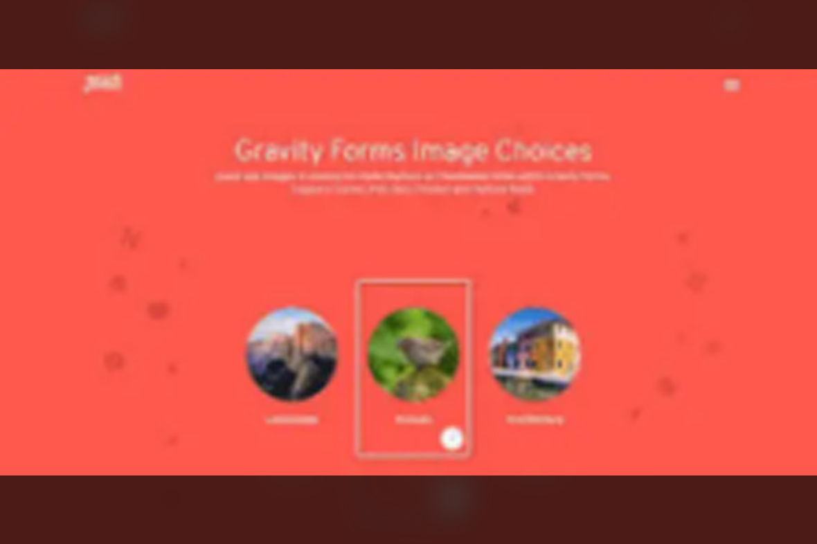 Gravity Forms Image Choices v1.6.10