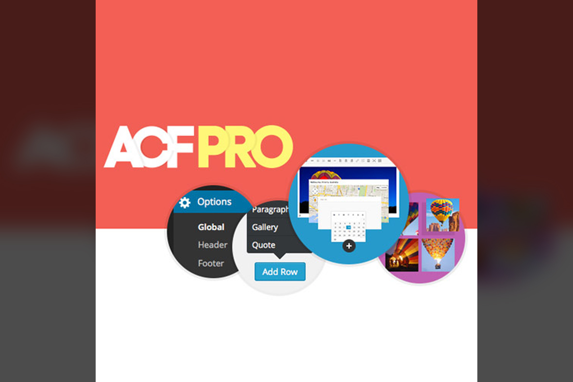 Advanced Custom Fields (ACF) Pro v6.4.1