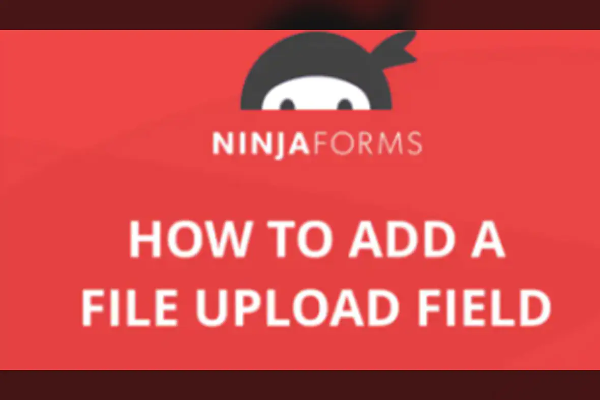 Ninja Forms File Uploads v3.3.22