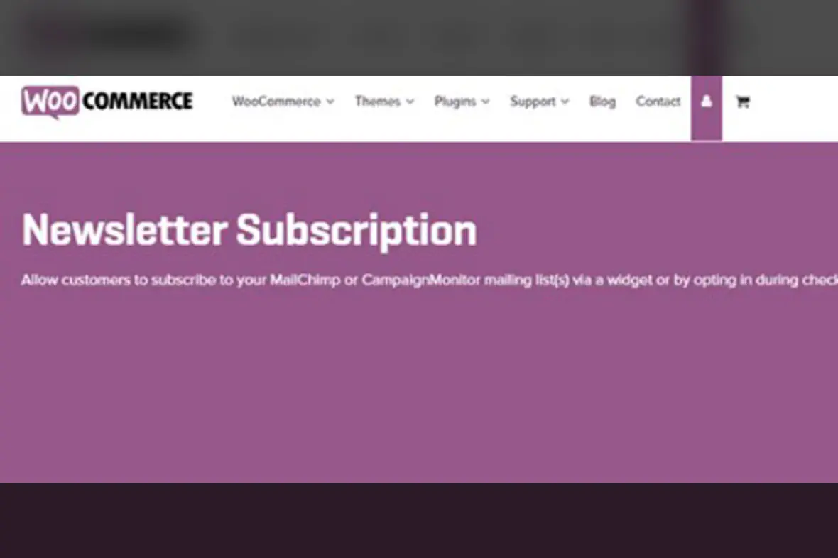 Newsletter – WooCommerce v1.9.8