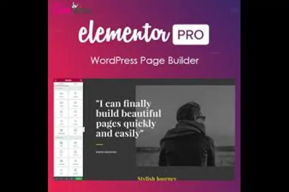 Elementor Page Builder Pro