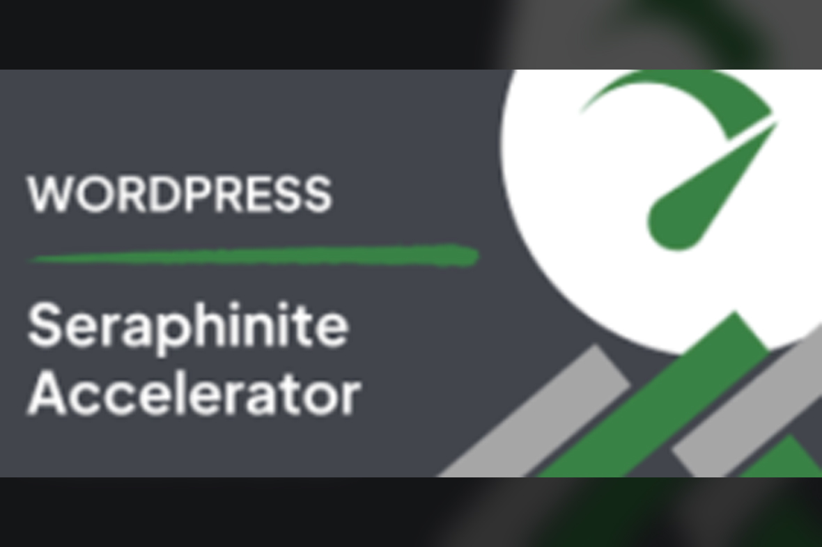 Seraphinite Accelerator v2.27.37
